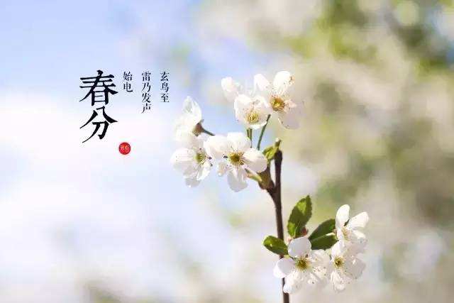 春風(fēng)十里，不及我在桃園等你
